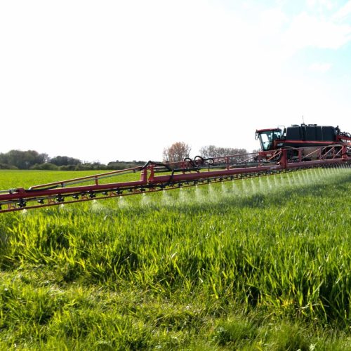 Fundamentals of best practice