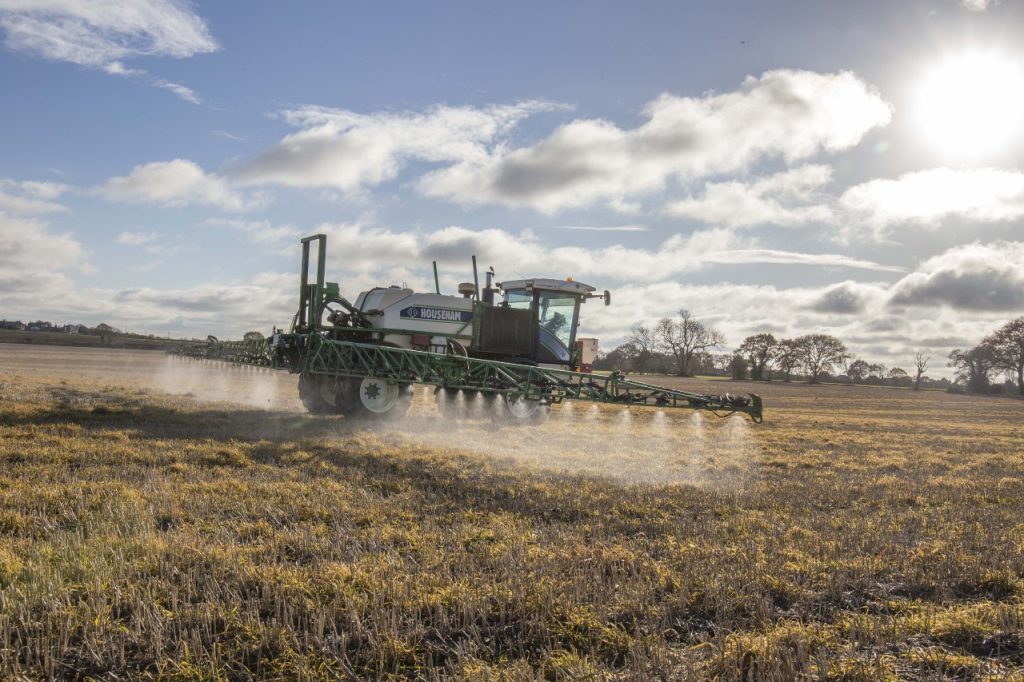 glyphosate efficacy