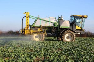 Stick with autumn stewardship